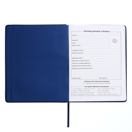 Universal Grade 1-11 Diary, 48 sheets "Joystick", a solid cover of artificial leather, applique, pancake embossing, lisse, universal cheat sheet, block 80 g/m2-4