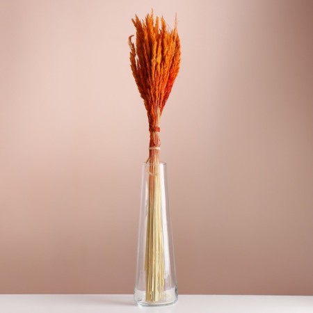 Set of dried flowers "Weinik", banch length 65 (+/- 6 cm), orange