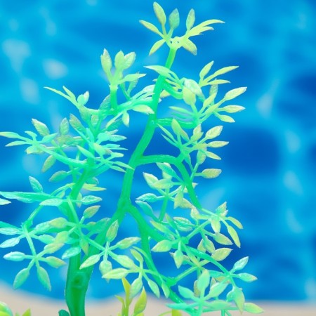 The plant is artificial aquarium, luminous, 10 cm, green-2