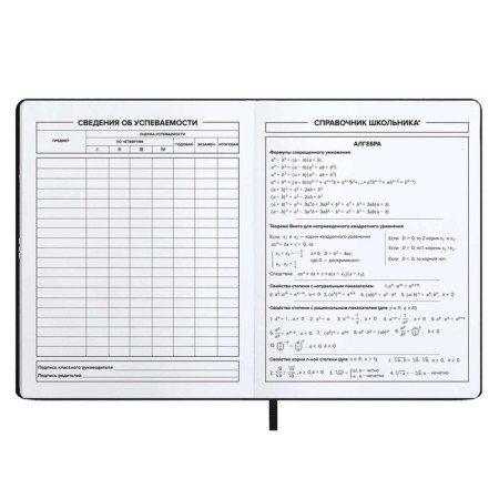 School diary for grades 1-11, solid cover, artificial leather, software, silkography, keychain, lies, 48 ​​sheets, universal cheat sheet, block 80g/m2, black-8
