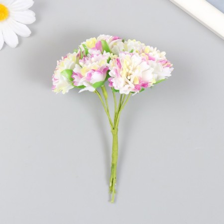 Flowers for decorating "Astra yellow-lilac" 1 bouquet = 6 colors 10 cm