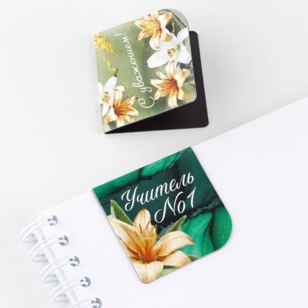 Magnetic bookmarks for books in the postcard "Teacher No. 1", 4 pcs-4