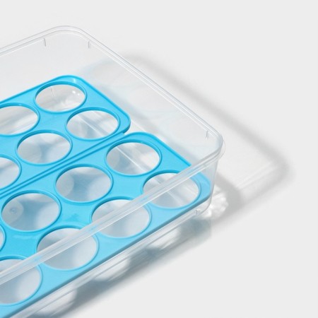Egg storage container, 20 cells, 27.5 × 22 × 7 cm, color mix-3