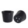 Pot for seedlings, re, 3.6 l, d = 22 × 17 cm, (packaging 10 pcs.) Greengo