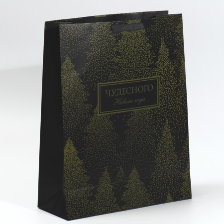 Laminated vertical packet “Wonderful New Year”, l 31 x 40 x 11.5 cm, New Year-2