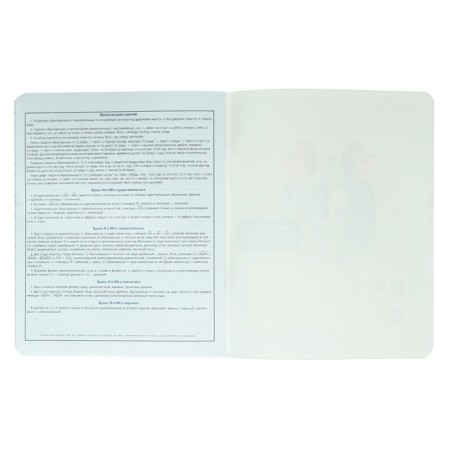 A notebook “Bright details”, 48 sheets in the “Russian Language” line, covered cardboard, selective twin-lak, UV-lak, OFSET block-5