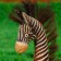 Souvenir tree "Zebra Adi" 32x17x31 cm