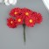 Decorative flower for creativity "chamomile" burgundy