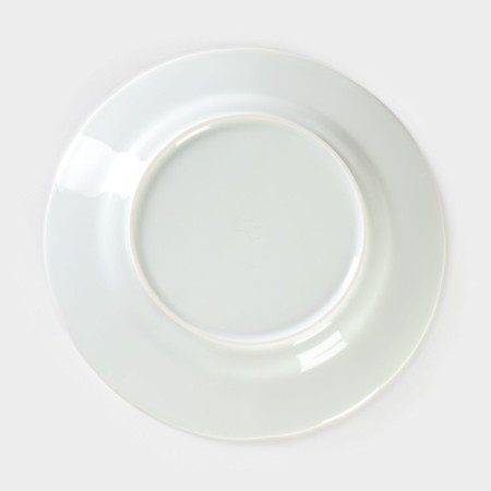 Porcelain plate "Hope. Stylish ", D = 24 cm-3