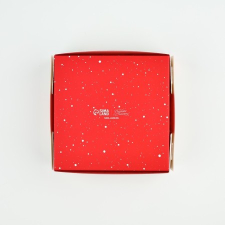 Box for sweets "Winter Botanika", 10.5 x 10.5 x 3.5 cm, New Year-3