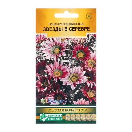 Seeds of flowers of gatsaniya harsh "stars in silver", 5 pcs
