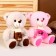 Soft toy "Mishutka in a scarf", 25 cm, color mix