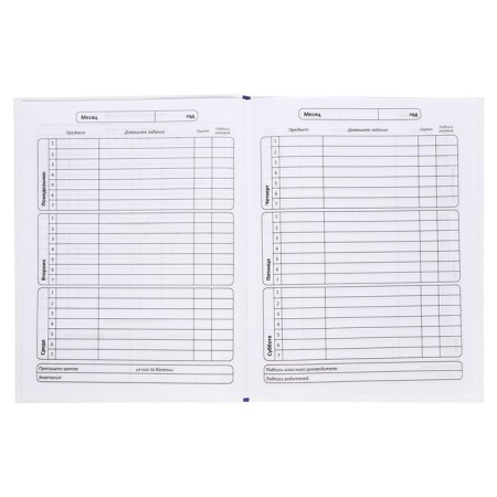 Diary Solid Cover 1-11 grade 48 sheets, Raven, Cardboard 7BC cover, matte lamination, selective UV-LK, cheat sheet-7