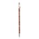 Lip pencil with a TF Professional Lipliner Pencil plant
