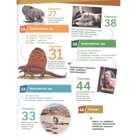 Fossils. Chronicle in stone. Baur M.-2