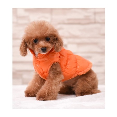 Dog jacket "Shine", s (DS 25, OG 37, Osh 24 cm, up to 5 kg), orange