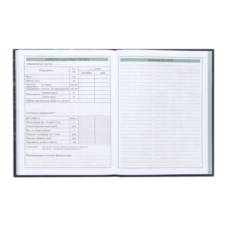 Diary for grades 5-11, 48 sheets, technoboom, integral cover, glossy lamination, print on a holographic film-11