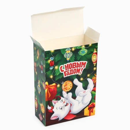 Folding box, 16 x 23 x 7.5 cm "Happy New Year!", Cats aristocrats-3