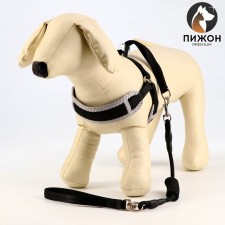 The set is soft slopes, a leash 120 x 1 cm with a swivel, s, Osh 26-67 cm, og 26-67 cm, black