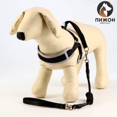 The set is soft slopes, a leash 120 x 1 cm with a swivel, s, Osh 26-67 cm, og 26-67 cm, black