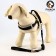 The set is soft slopes, a leash 120 x 1 cm with a swivel, s, Osh 26-67 cm, og 26-67 cm, black