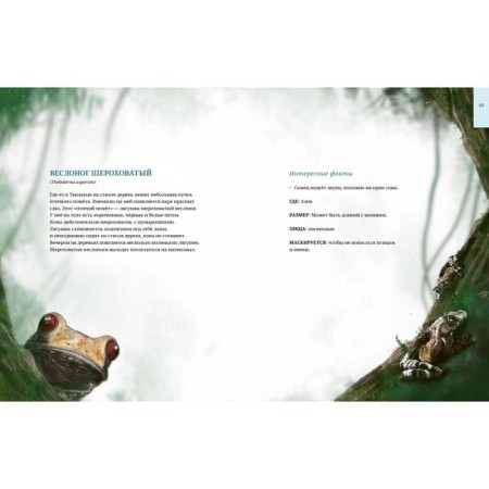 Животные невидимки:чудеса маскировки в дикой природе. Реншлебротен Лина-9