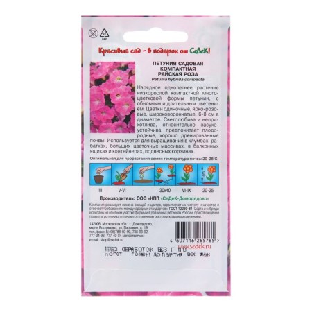 Petunia flower seeds "Paradise Rose", Euro, 0.01 g-1