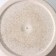Kashpo with an insert "Pino Eco", 3 l, d = 19 cm, ivory color