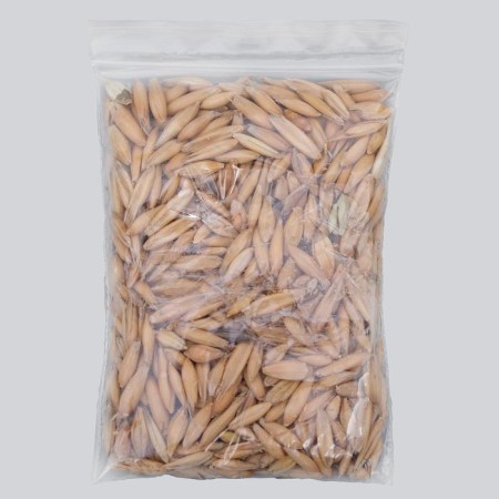 Seeds "Herring for germination", package, 20 g-1