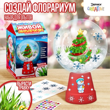 Set for experiments "New Year Florarium"