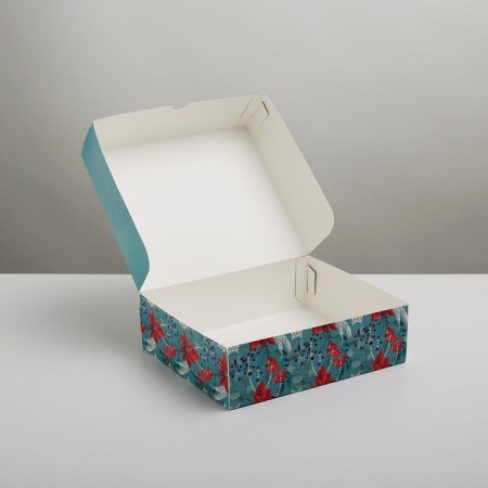 Snow confectionery packaging, 20 x 17 x 6 cm, New Year-2