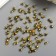 Set of decorative cloves "Gloss" set of 100 pcs gold 0.9x0.9 cm