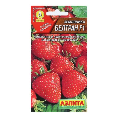 Strawberries "Beltran", F1, 5 pcs