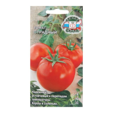 Seed tomato "Otradny", 0.1 g