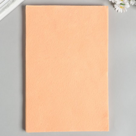Soft felt 1 mm 20x30 cm ts.652 peach-2