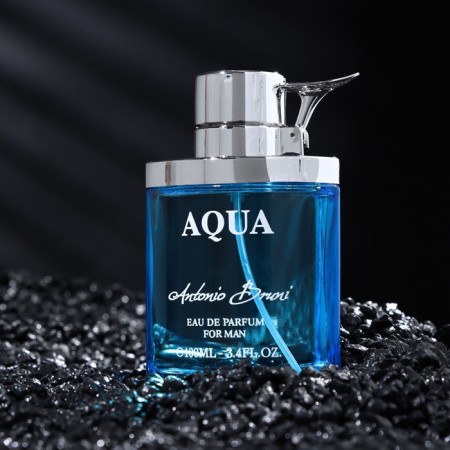 Perfume water male Aqua, 100 ml-1