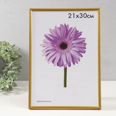 Photo frame plastic LIDA 21x30 cm gold