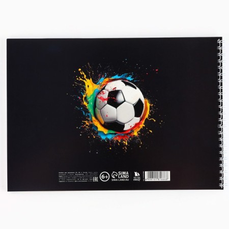 Album for drawing A4 48 sheets on the spring "September 1: Gool"-4
