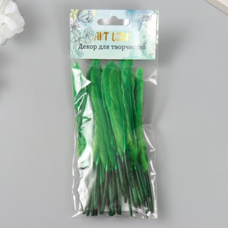 Decorative goose penis "bright green" set 30 pcs h = 10-12 cm-3