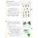 Workbook. GEF. Learning to study and act 4 class, part 2. Merkulova T. in