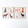 Pictures-Plovinka "Pets"