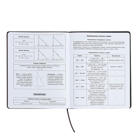 Universal diary for grades 1-11 "Font", firm cover of artificial leather, lies, 48 ​​sheets, black and blue-9