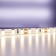 Maytoni LED strip, 12V, IP20, 2835, 9.6W/m, 3000k, 5 m, 5 mm, monochrome glow