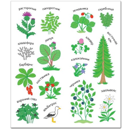 Color Russia. A book with stickers. Caucasus-2
