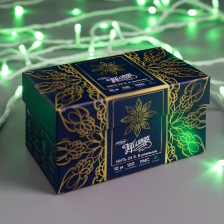 Garland “thread” 10 m, IP44, UMS, white thread, 100 LED, green glow, 8 modes, 24 V-2
