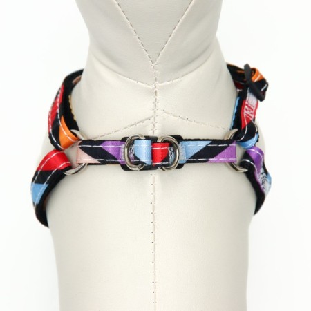 The ammunition set is two-layer, size S, leash 120 x 1 cm, Osh 24-38 cm, OG 29-41 cm, multi-colored-4