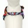 The ammunition set is two-layer, size S, leash 120 x 1 cm, Osh 24-38 cm, OG 29-41 cm, multi-colored