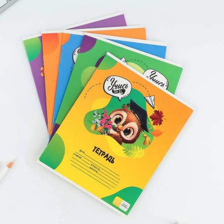 Notebook 12 sheets in the roeer “September 1: Learn at 5+”, cover coated cardboard, block No. 1, 5 types of mix-1