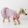 Dress for dogs Culinary, s (DS 27, Osh 32-36, OG 38-42), pink with gray stripes