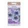 Flowers of petunia "tet-a-tet", f1, compact, mixture, 20 pcs